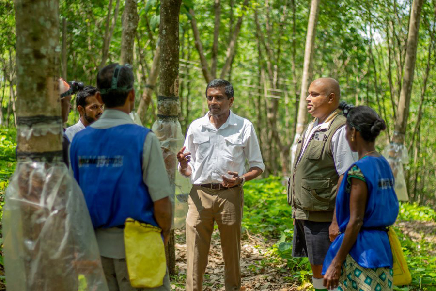 Uncovering the human element in ESG at Kelani Valley Plantations