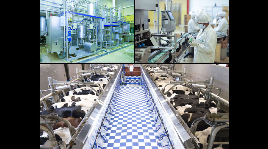 Ambewela Deliver Unmatched Premium Quality Dairy Products with its latest technology and innovation