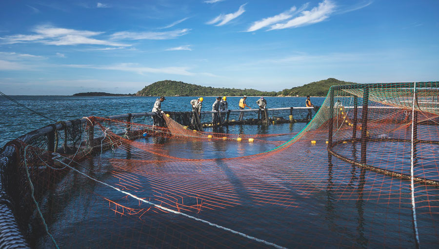 Global Fund for Coral Reefs and Oceanpick Partner to Transform Aquaculture and Support Coastal Communities in Sri Lanka