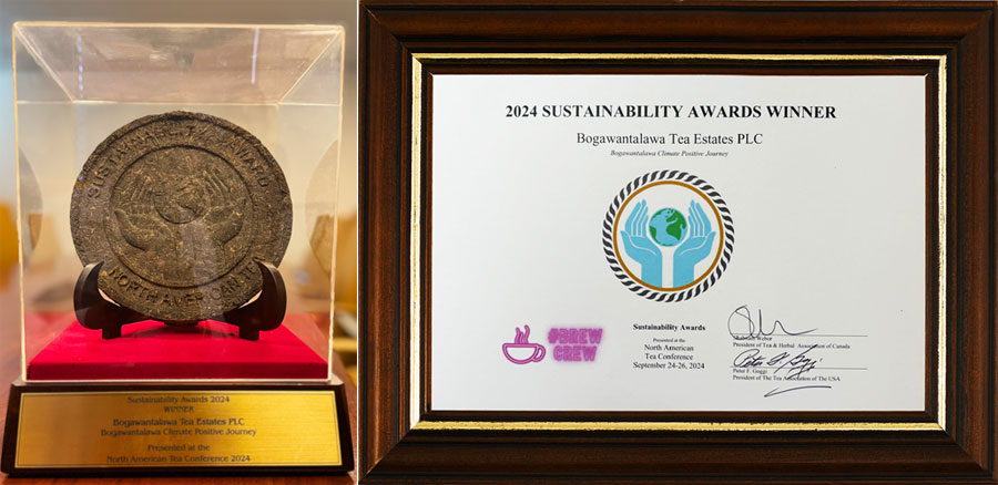 Bogawantalawa Teas Wins Outstanding Sustainability Award at 2024 North American Tea Conference