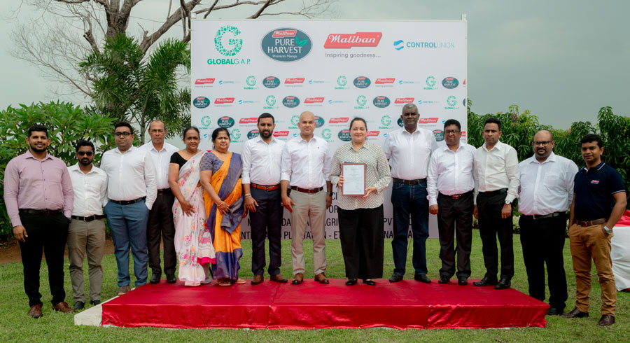 Maliban Achieves GLOBAL G.A.P Certification for Excellence in Agricultural Practices