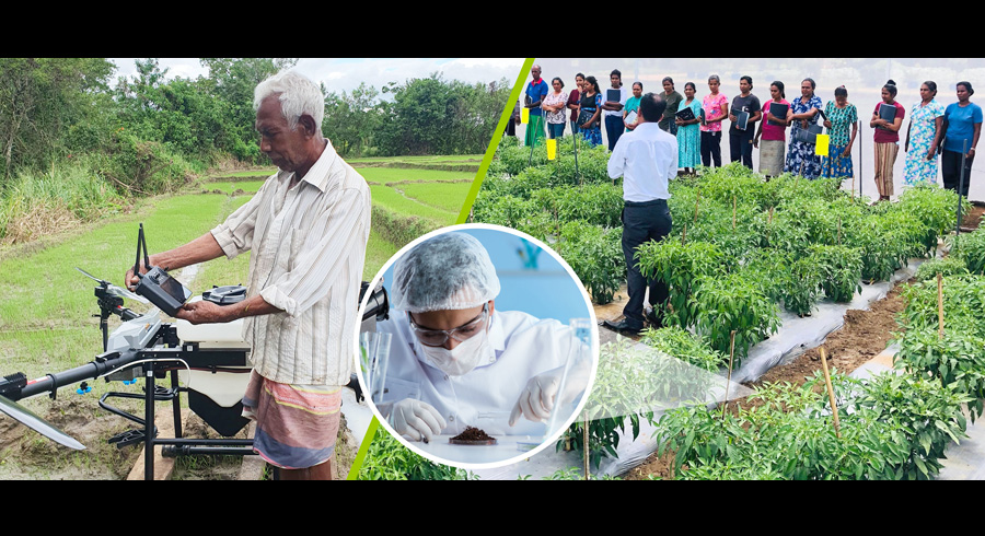 DIMO Agribusinesses Elevates Farmers into Agripreneurs