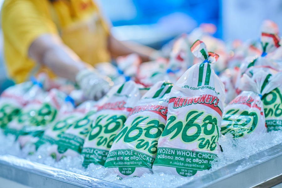 How New Anthoneys Became Sri Lankas Gold Standard in Poultry