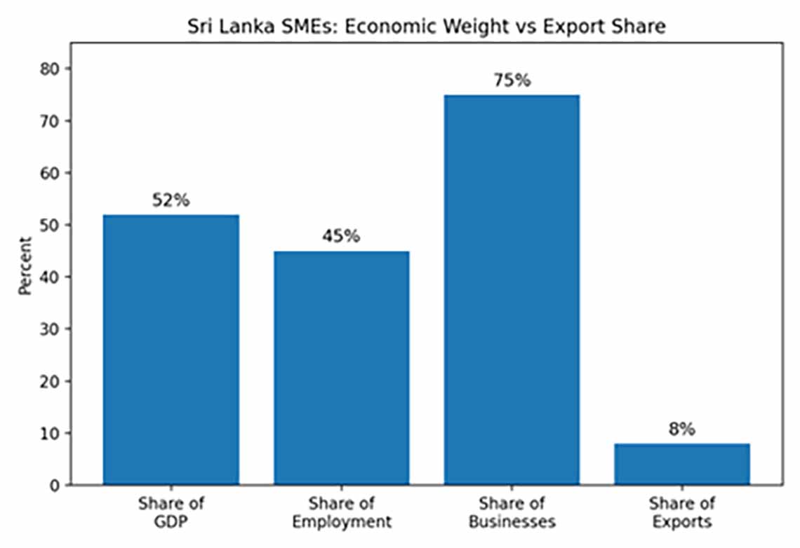 SriLanka SME Apparel Sector Needs a National Sustainable Industries Policy Framework Image 1
