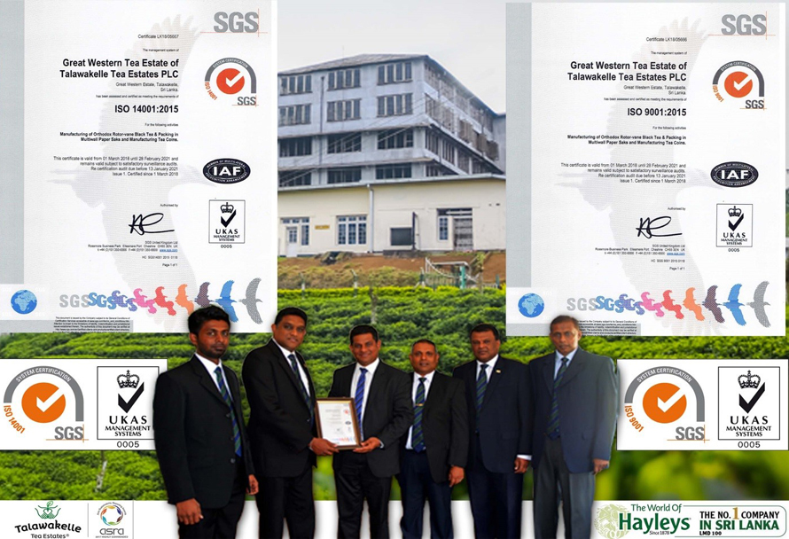 Talawakelle Tea Estates Great Western Estate secures ISO accreditation for environment and quality management
