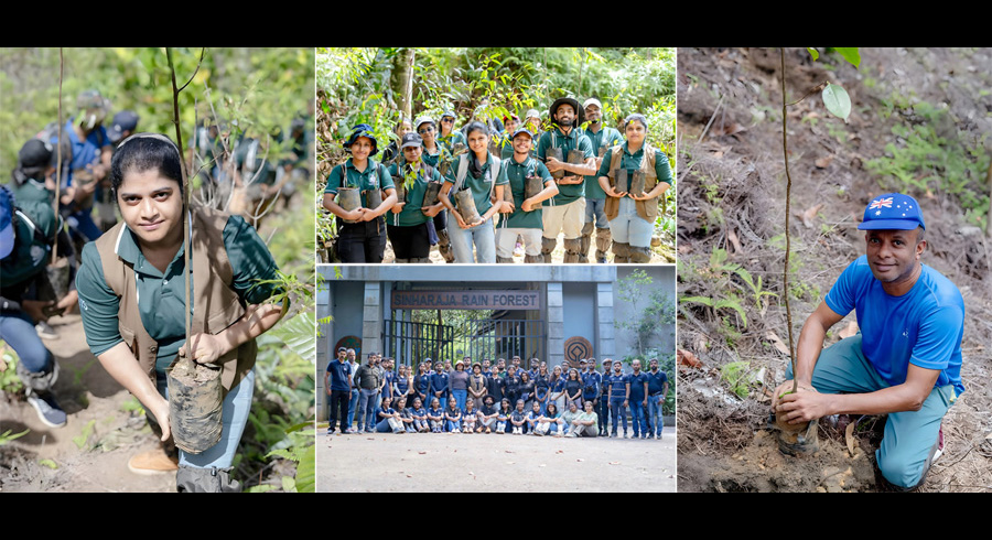 Ocean Lanka contributes volunteer program for biodiversity revival with the Cinnamon Rainforest Reforestation Initiative