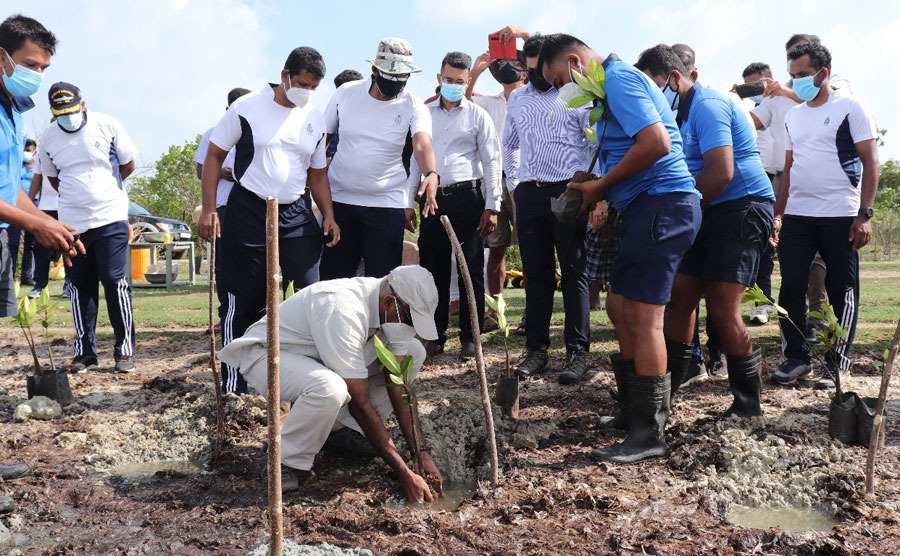 Tokyo Cement partners Sri Lanka Navy Mangrove Conservation Project in Jaffna