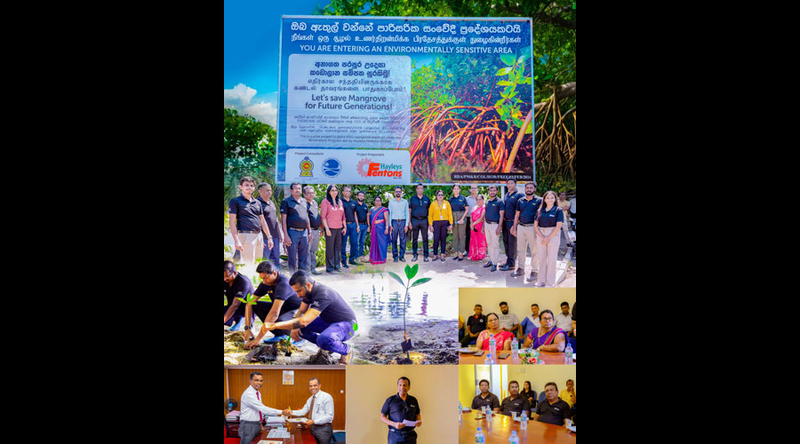 Hayleys Fentons Launches Roots of Resilience Programme to Restore Bolgoda Rivers Mangroves