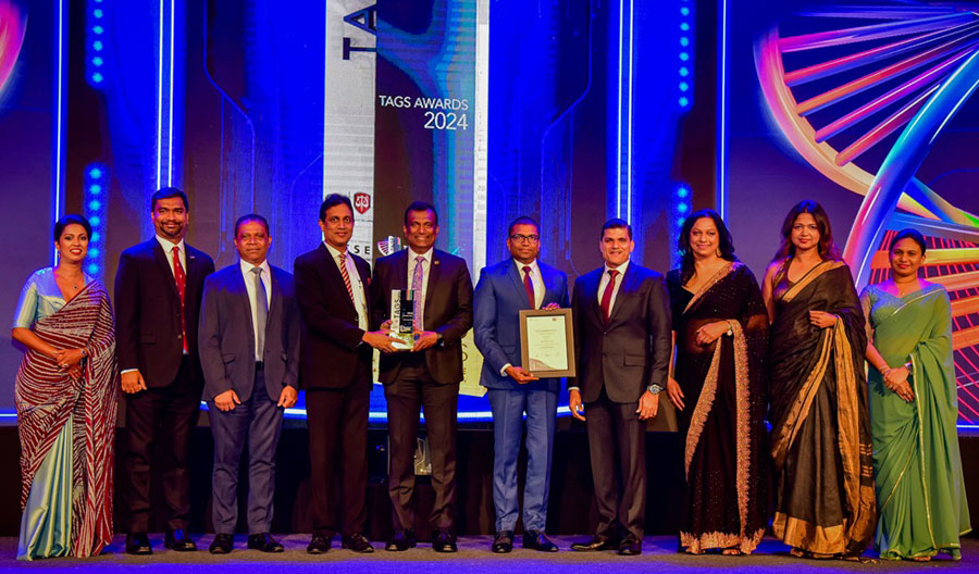 Hayleys Fentons Limited Wins Gold at TAGS Awards 2024 for Sustainability Driven Digital Corporate Reporting in Construction