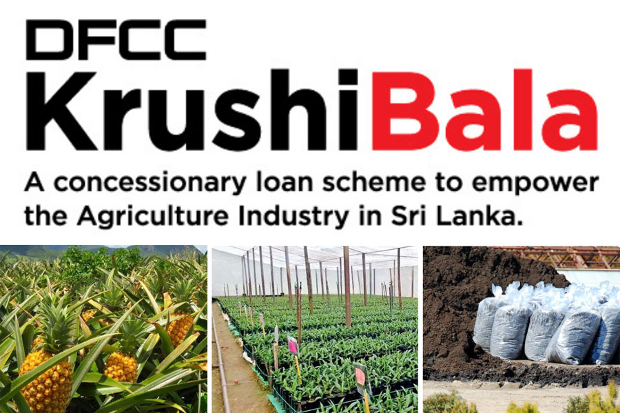 DFCC Bank unveils Krushibala loan scheme to enhance local Agri businesses