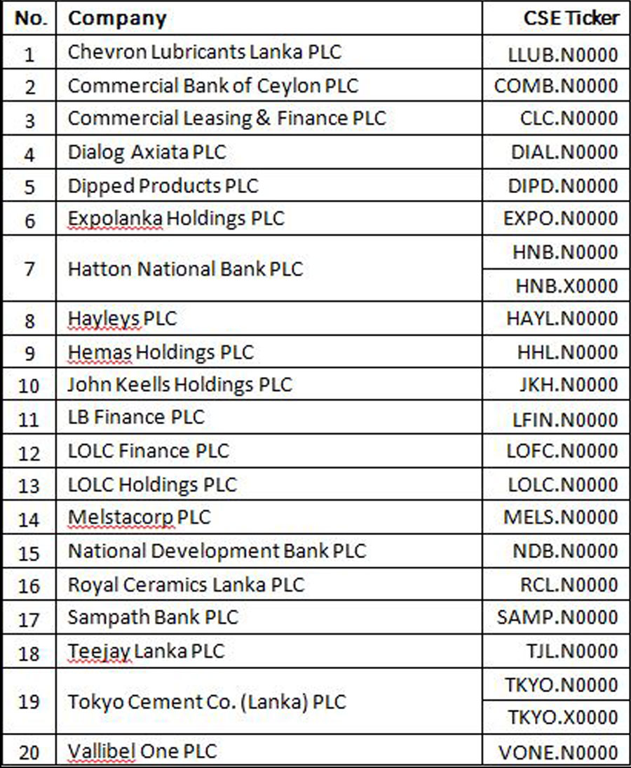 Colombo Stock Exchange SP Sri Lanka 20 Index Image 3