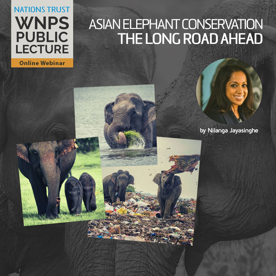 Nations Trust WNPS Public Lecture Sheds Light on Elephant Conservation