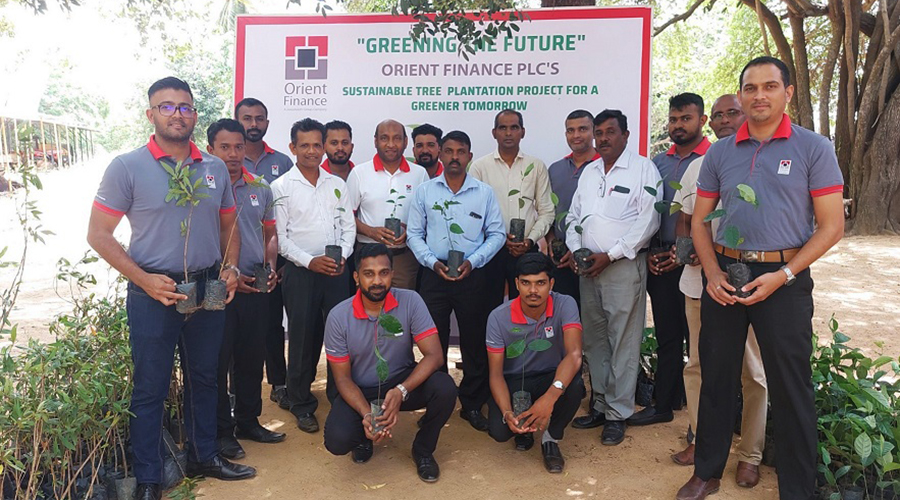 Orient Finance PLC Celebrates 42nd Anniversary with a Greener Vision 6000 Trees for a Sustainable Future