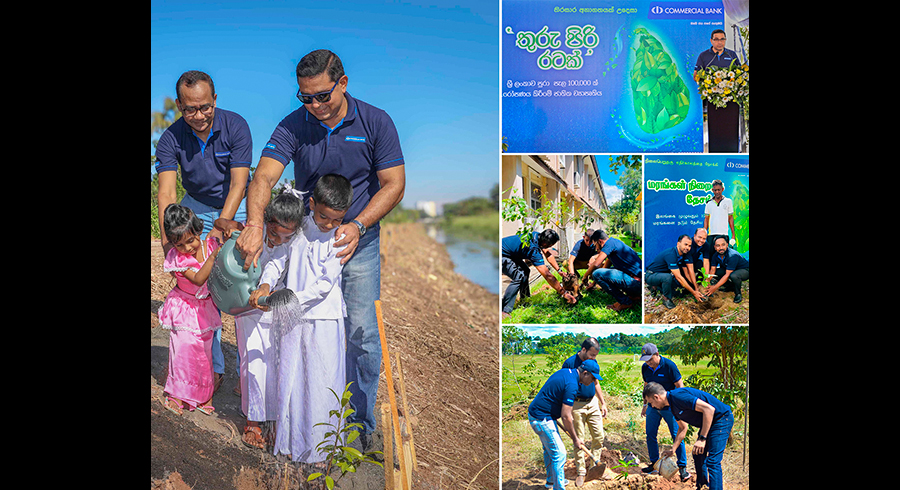 ComBank embarks on another sustainability initiative planting 100000 Trees for Tomorrow
