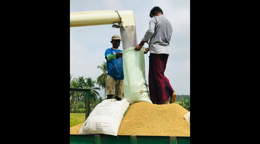 Sarvodaya Development Finance s Pledge to Elevate Sri Lanka s Agriculture Sector