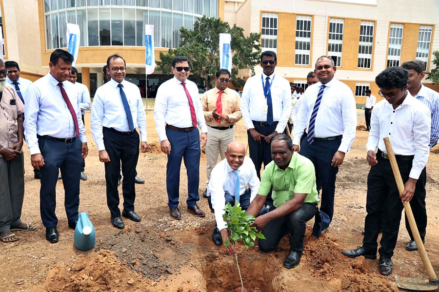 ComBank commences planting 10000 trees in Kilinochchi and Jaffna districts