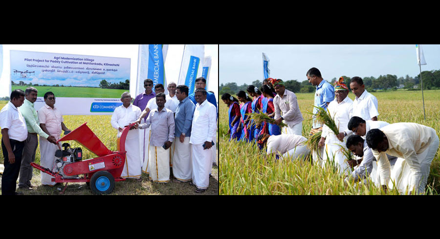 ComBank celebrates success of its pilot Agri Modernisation village