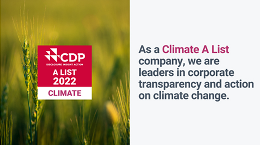 Huawei places in CDP s A list for its transparency and performance on climate change
