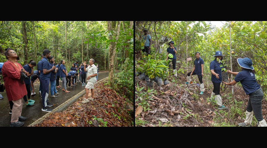 John Keells Foundation mobilizes volunteers for forest restoration at Suduwelipotha to commemorate World Environment Day 2022