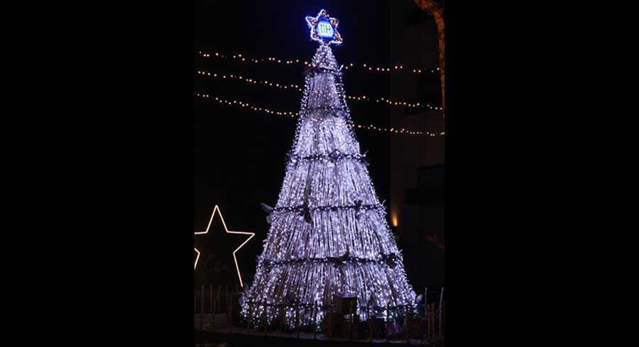 White Christmas Tree Lighting at NH Bentota Ceysands