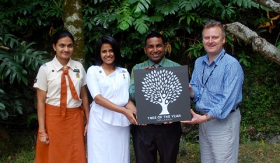 Tree of the Year - Sri Lanka Competition Launched