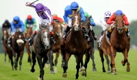 Royal Turf Club Formed - Aims to Boost Sports Tourism