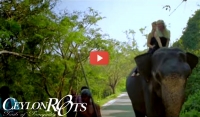 Ceylon Roots Launched Trails of Tranquility Trailer for Sri Lanka