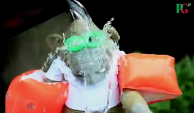 PG Tips’ Monkey latest to take part in the ice bucket challenge