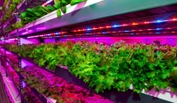 Emirates Flight Catering builds world’s largest vertical farming facility in Dubai