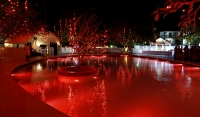 Calamander Unawatuna Beach Launches Innovative Mosaic Vermilion Pool and Turtle Pool ( 32 Photos )