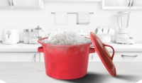 Royal Fernwood Porcelain launches Microwaveable Rice Cooker