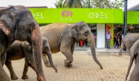 ODEL opens ‘Luv SL’ store at Pinnawala