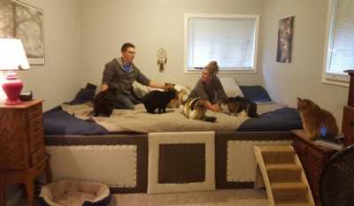 A Couple Built a Gigantic 75 Sq Ft Bed for Their Seven Cats and Dogs