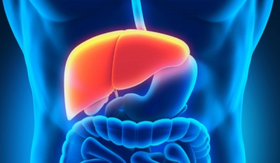 Ceyoka offers breakthrough option for Pain-free Liver Scanning